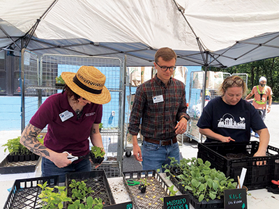 VCE plant giveaway 2025