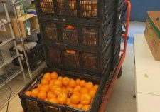 Bellair tomato donation